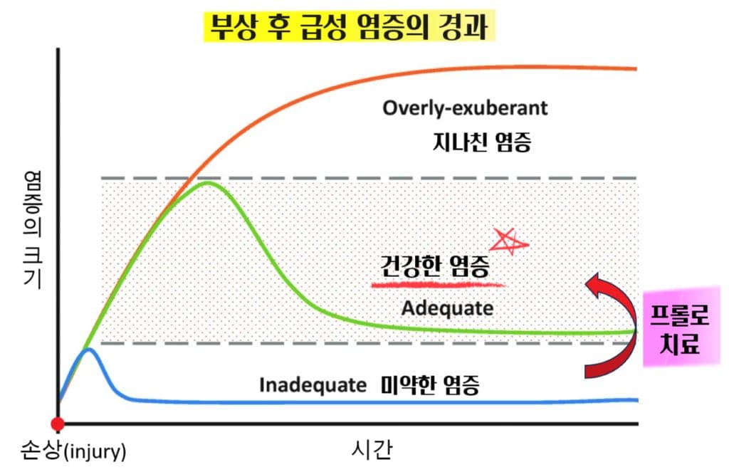 염증프롤로