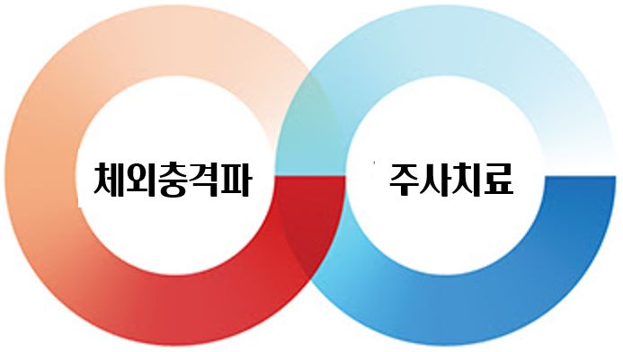 하이브리드